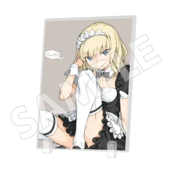 A Certain Magical Index 20th Anniversary Special Acrylic Plate