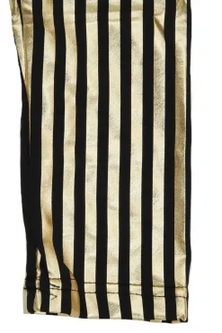 ACDC RAG Metallic Striped Leggings