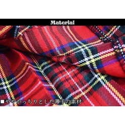 ACDC RAG Tartan Checkered Pleated Skirt