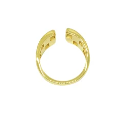 Artiswitch Image Ring