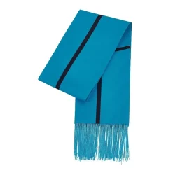 Blue Archive Cosbag Shiroko