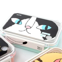 Cat Square Lunch Boxes