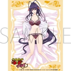 Character Sleeve Collection Matte Series High School DxD Hero MT1872 Akeno Himejima