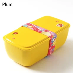 Cool Bento Lunch Box