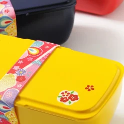 Cool Bento Lunch Box