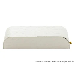 Demon Slayer: Kimetsu no Yaiba Collaboration Shinobu Kocho Standing Glasses Case