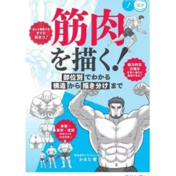 Drawing Muscles! From Understanding Structure to Drawing by Region