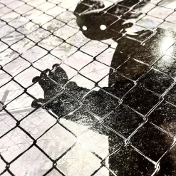 Face Essence Special Print Poster (Isssai)