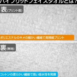 Fate/Grand Order Hybrid Face Towel Caster/Morgan Lady of the Water