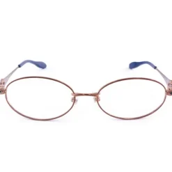 Fate/Grand Order Leonardo da Vinci Model Glasses (Blue Light Cutting Lenses)