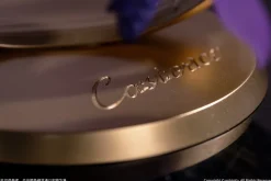 Gift+ Honkai: Star Rail Castorice: Star Rail LIVE Ver. 1/8 Scale Figure