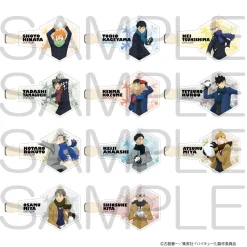 Haikyu!! Hair Clip Playing in the Snow Ver.