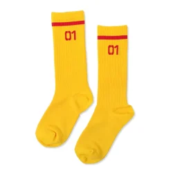 Hatsune Miku Sound Delivery Socks