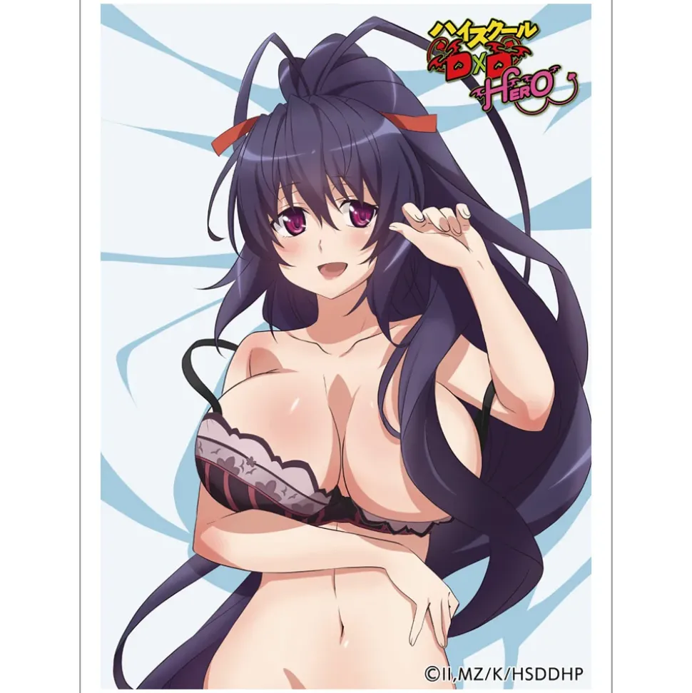 High School DxD Hero Sleeve Akeno Himejima
