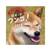 Himekuri Wanko! Dog Photo 2018 Desktop Daily Calendar