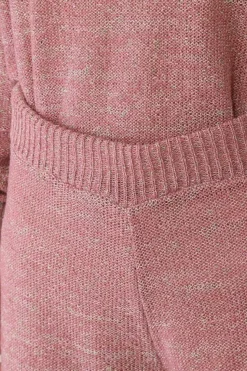 Honey Salon Lamé Knit Shorts