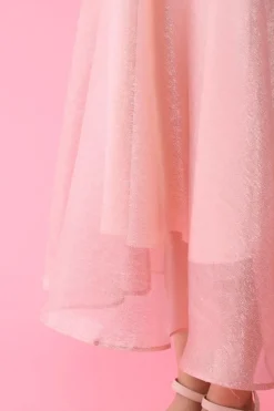 Honey Salon Organdy Flared Skirt