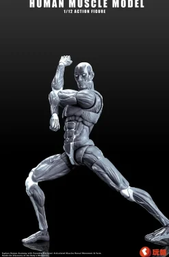 Human Muscle Model (Gray) 1/12 Scale Action Figure
