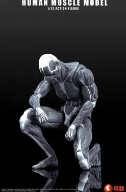 Human Muscle Model (Gray) 1/12 Scale Action Figure