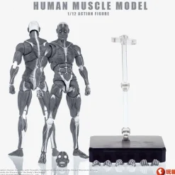 Human Muscle Model (Gray) 1/12 Scale Action Figure