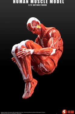 Human Muscle Model (Red) 1/12 Scale Action Figure