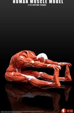Human Muscle Model (Red) 1/12 Scale Action Figure