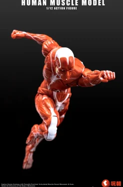 Human Muscle Model (Red) 1/12 Scale Action Figure