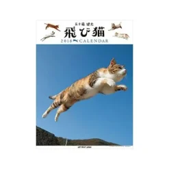 Jump Cat 2018 Calendar