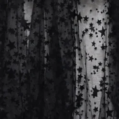 LISTEN FLAVOR See-Through 2-Way Layered Skirt