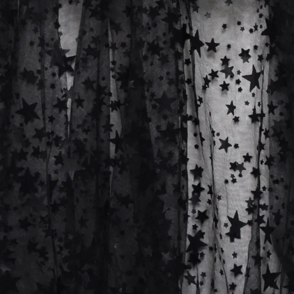 LISTEN FLAVOR See-Through 2-Way Layered Skirt