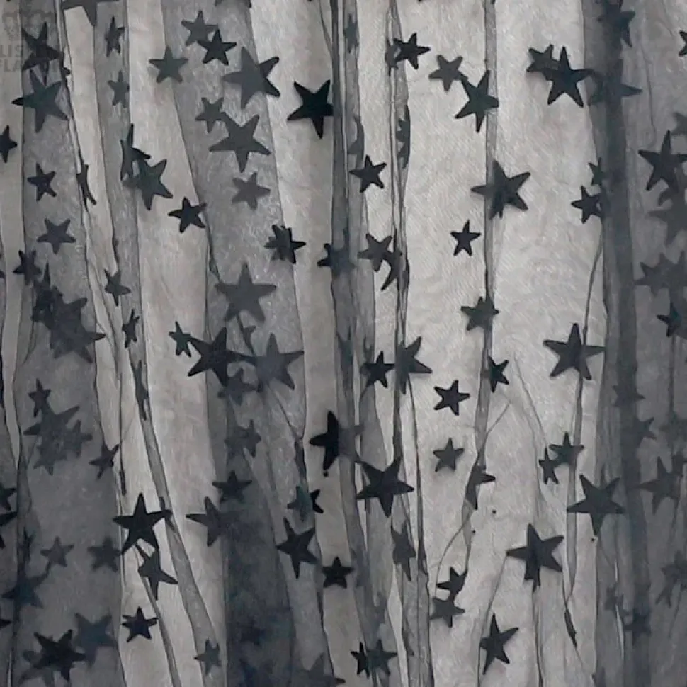 LISTEN FLAVOR Star Tulle Layered Skirt