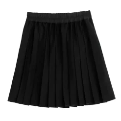LISTEN FLAVOR Tulle Layered Pleated Skirt