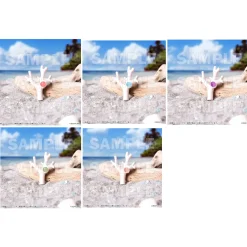 Love Live! Nijigasaki High School Idol Club The Movie – Finale – Chapter 1 Nijigasaki High School Store Imitation Coral Brooch