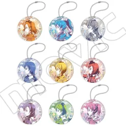 Love Live! School Idol Project Sunny Day Song B9 Acrylic Keychain Collection Box Set