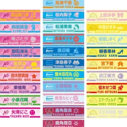 Love Live! Series 9th Anniversary Love Live! Fest Embroidered Armband Collection