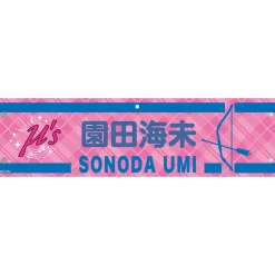 Love Live! Series 9th Anniversary Love Live! Fest Embroidered Armband Collection
