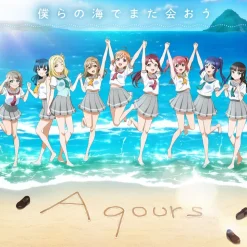 Love Live! Sunshine!! Aqours Club CD Set 2024 Limited Edition