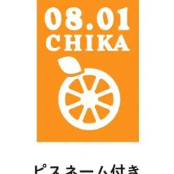 Love Live! Sunshine!! Season 2 Uranohoshi Girls' High School Store Birthday Present Set: Chika Takami Ver.