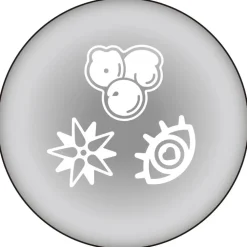 Love Live! Sunshine!! Unit Live Adventure 2020 -Perfect World- Love Live Blade! Sunshine!!