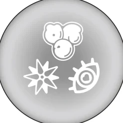 Love Live! Sunshine!! Unit Live Adventure 2020 Love Live Blade! Sunshine!! Collection