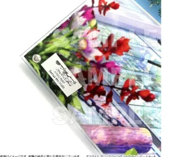 Love Live! Superstar!! Layered Graph® Vol. 1 Chisato Arashi