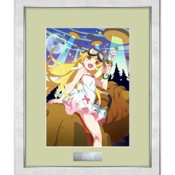 Monogatari Series Final Season Jacket Illustration Chara Fine Graph