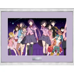 Monogatari Series Final Season Bonus Illustration Character Fine Graph