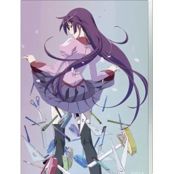 Monogatari Series Noble Art Bakemonogatari