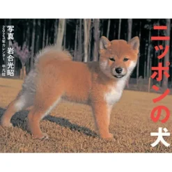 Nippon no Inu 2023 Calendar