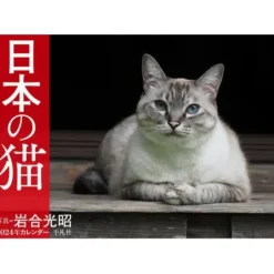 Nippon no Neko 2024 Calendar