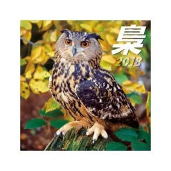 Owl 2018 Calendar