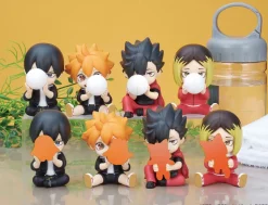 Perihapi! Hide & Seek Kakurenbo Haikyu!! Karasuno & Nekoma Box Set