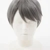 Persona 4 Yu Narukami Wig (Anime Ver.)
