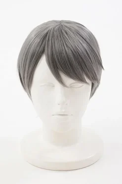 Persona 4 Yu Narukami Wig (Anime Ver.)